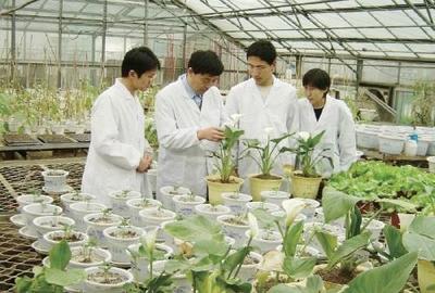 與國家緩控釋肥工程技術研究中心副主任張民“云端對話”--發展緩控釋肥是實現化肥減量增效的重要方向