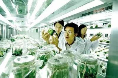 太空農業、分子農業,你知道嗎?馬云天貓小店消滅500萬家傳統小賣部.