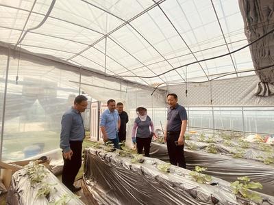 中科院合肥研究院劉斌美研究員一行赴羅塘鄉調研現代農業產業發展情況