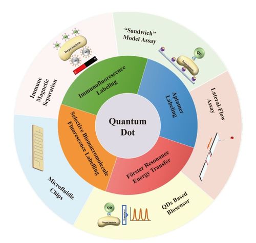 青島農業大學楊慶利教授團隊在食品國際頂級期刊發表最新學術成果