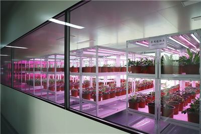 山東省科技廳調研組來日照市調研