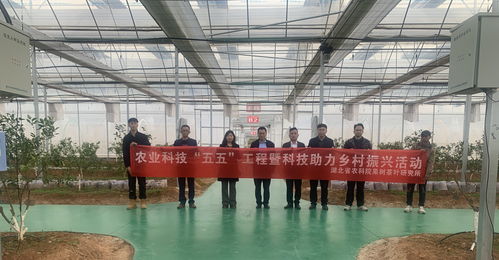 果茶所柑橘團隊赴十堰開展農業科技 五五 工程暨科技助力鄉村振興活動 湖北省農業科學院門戶網站