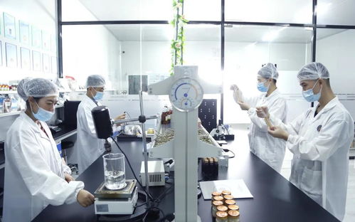 飲食新藍海 品鑒燕窩全新研發湯膳產品生產線,切入鮮食賽道