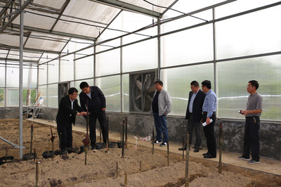 省科技廳在市農科所開展技術市場工作調研