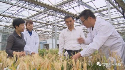 趙皖平:發展現代農業 助力脫貧攻堅