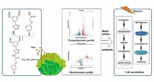湖南省農科院院士團隊碩士研究生以第一作者身份在農林科學領域一區top期刊上發表研究成果