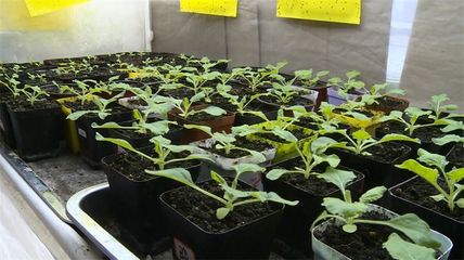 楊凌:科技春耕景象新