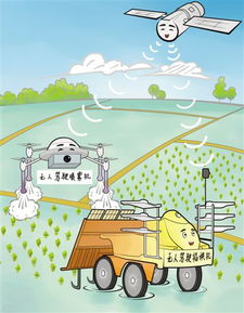 多家科研院所和企業在黑龍江進行農業全過程無人作業實驗