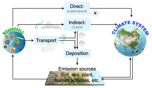 要茂盛課題組在國家科學進展發表生物氣溶膠融匯空氣質量 氣候系統和人類健康的研究綜述