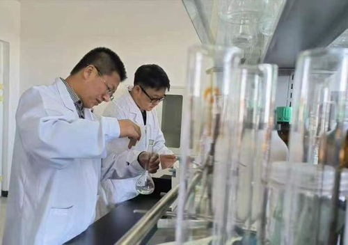 致敬了不起的他們