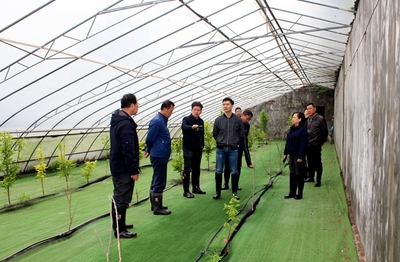 【場站中心】國家柿圃改擴建項目評審會召開