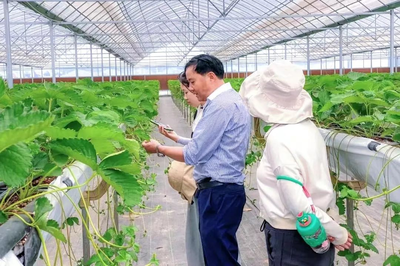 南京市溧水區(qū):凝聚非公企業(yè)智慧 吹響“種子翻身仗”號角民企種業(yè)強“芯” 賦能鄉(xiāng)村振興