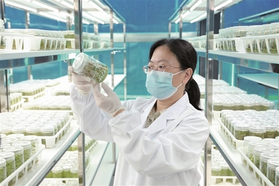 逐綠奮進生態(tài)美 水清林茂糧更豐--周寧縣踐行"三庫+碳庫"理念推進綠色發(fā)展