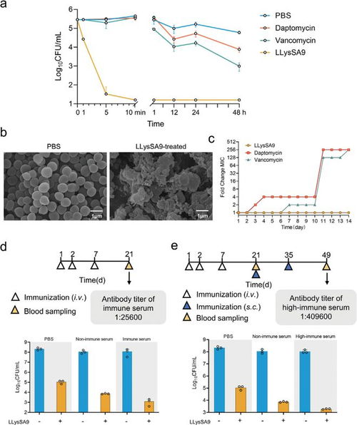 科研進展 華中農(nóng)業(yè)大學李錦銓團隊 通過人工智能發(fā)掘新型抗菌蛋白分子對抗細菌感染 if 15.1