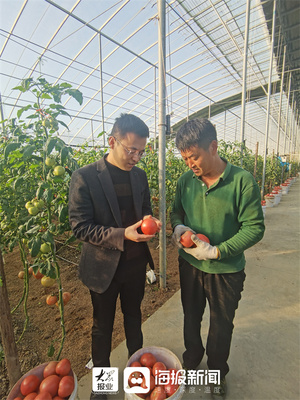 立足菜鄉(xiāng) 花開全國,“壽光模式”在全國26省市落地開花