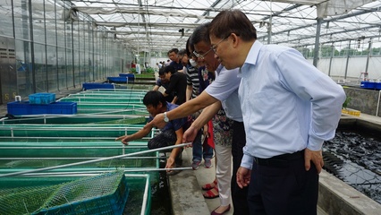 市政協(xié)農(nóng)業(yè)和農(nóng)村委員會參觀我院莊行試驗(yàn)站