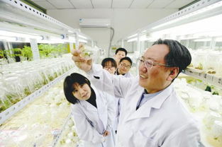 實(shí)施 盛京人才 戰(zhàn)略 譜寫人才強(qiáng)市新篇 大遼網(wǎng) 騰訊網(wǎng)