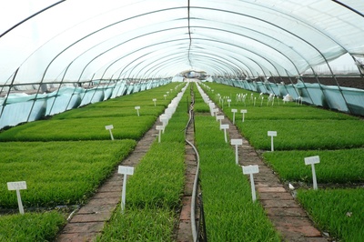 【數字鄉村看龍江】聚焦樺南縣,先行先試的“試驗田”啥模樣?