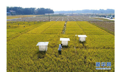 穩中向好開新篇--黨的十八大以來我國“三農”發展成就綜述