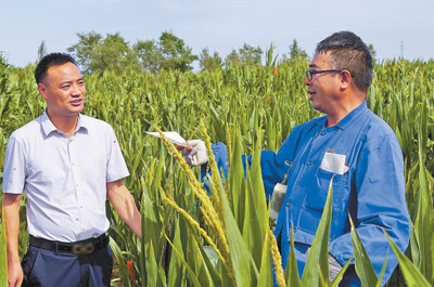 發展特色產業 促進鄉村振興