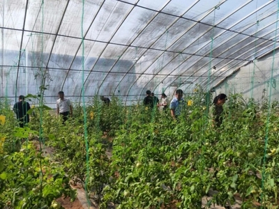 市現代農業示范區與山東省黃河三角洲可持續發展研究院聯合舉辦“政府開放月,探索鹽堿地綜合利用的奧秘”活動