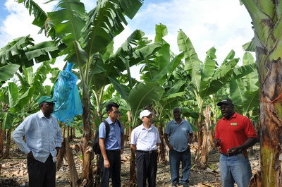 駐巴哈馬大使黃親國參觀考察巴農業與海洋科學學院