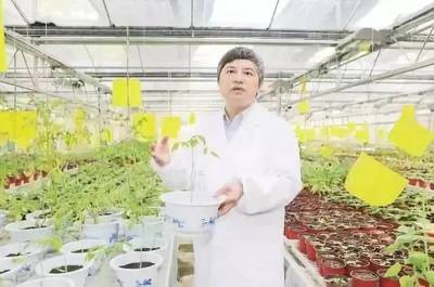 院士談農藥:科學、安全、合理使用農藥,保證糧食安全