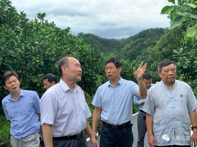 問診把脈,精準指導,把培育課堂搬到生產果園--江西農業大學“頭雁”項目導師劉勇再到上饒學員基地調研指導