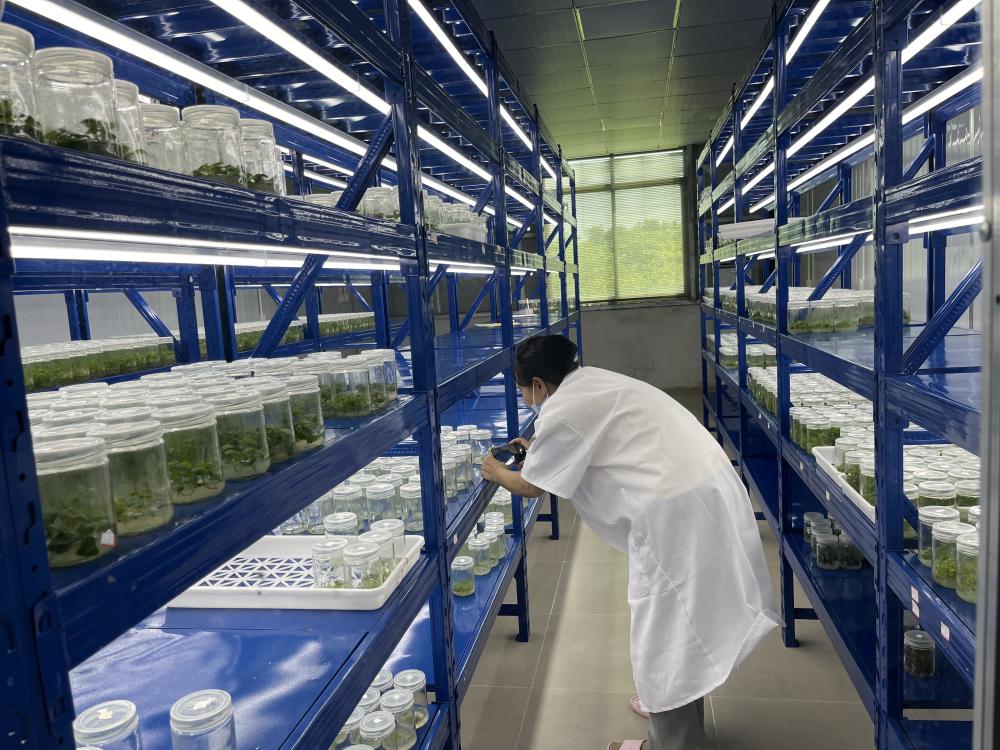 攜手推動“雙百行動”提質增效!廣東食品藥品職業學院到惠來縣開展調研