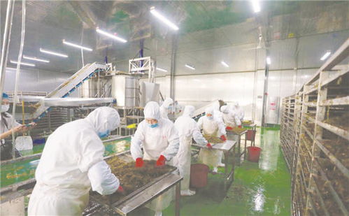 2021年高質量發展盤點丨威海建設世界一流海洋綜合試驗場