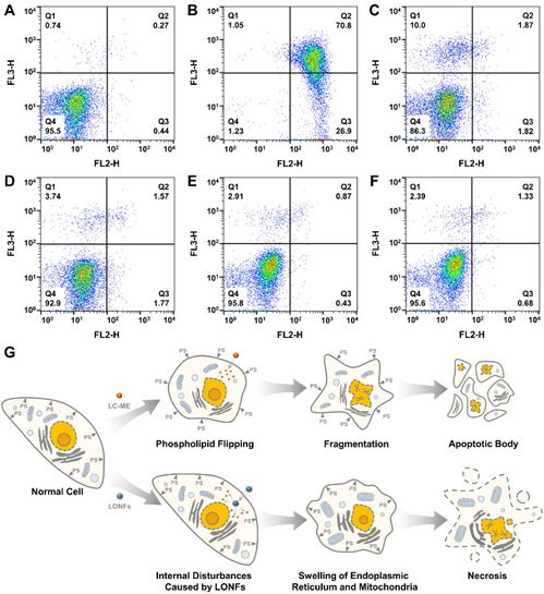 人才強校 通過調控傳導進一步提高納米農藥利用效率的新策略 理學院農藥學學科研究新進展