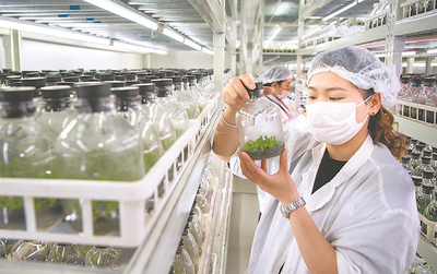 精育“增收苗”