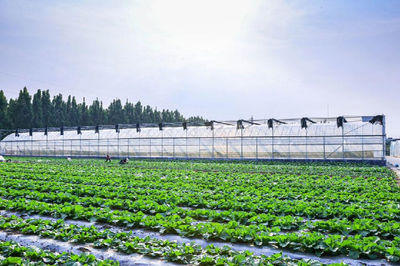 濰坊市科學技術協會