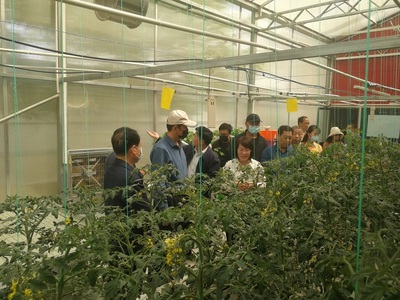 生物工程學院建成“喻景權院士輕簡化無土栽培技術示范基地”并參加全市戈壁農業觀摩活動