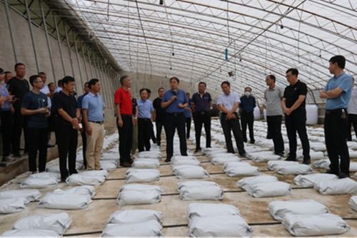 陜西省設(shè)施蔬菜科技創(chuàng)新與試驗示范觀摩研討會舉辦