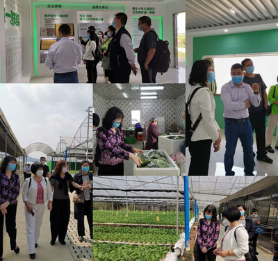 經(jīng)濟(jì)研究所赴南沙區(qū)、增城區(qū)開展都市農(nóng)業(yè)產(chǎn)業(yè)發(fā)展專題調(diào)研