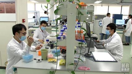 種子實驗室的科研工作現(xiàn)場。