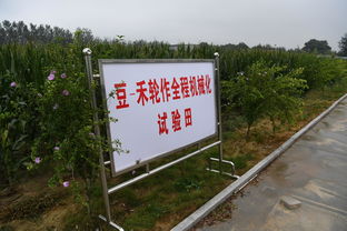 這個實驗站,是一座設(shè)在田間科研殿堂