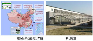 中國農(nóng)業(yè)科學(xué)院植物保護(hù)研究所改革開放40年回顧