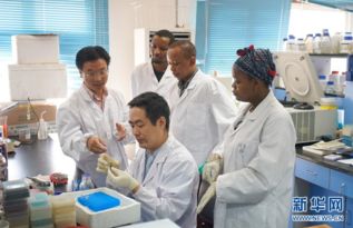 中科院 搭臺 中非科技合作亮點多