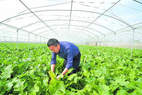 山東煙區大力提升煙基設施設備綜合利用率