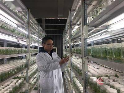 昆明市加速建設區域性國際科技創新中心