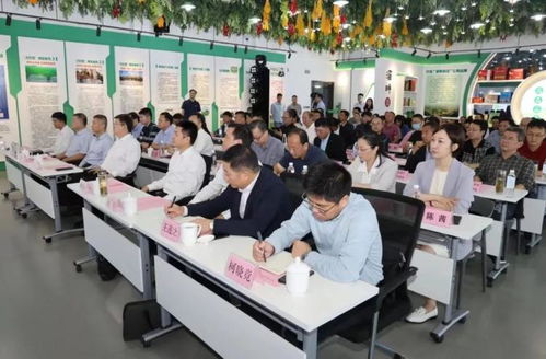 全國首個 正式上線