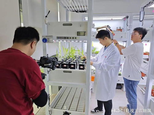 安琪福邦大型宣傳片 酵母科技,農業無限未來 正式殺青