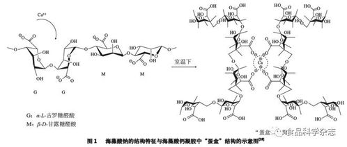 食品科學 中國農業大學毛立科副教授等 復配海藻酸鹽凝膠作為傳遞體系的研究進展