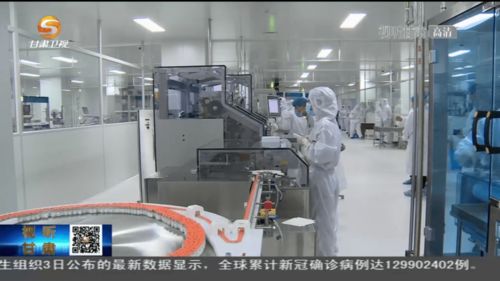 首批 甘肅造 新冠疫苗投產下線