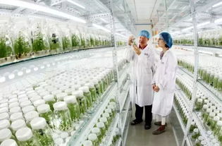 瞄準國家戰略, 5個大項目簽約落戶青島這個區