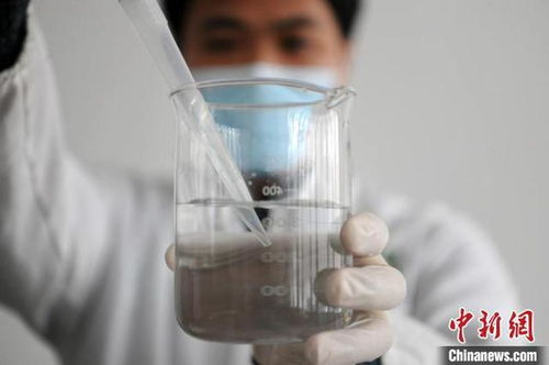 產量創新高 新疆大豆高產 動能 源自哪里