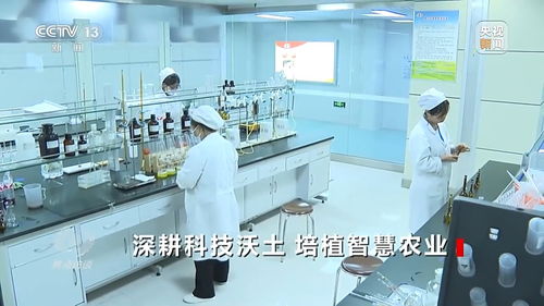 深耕科技沃土 培植智慧農業