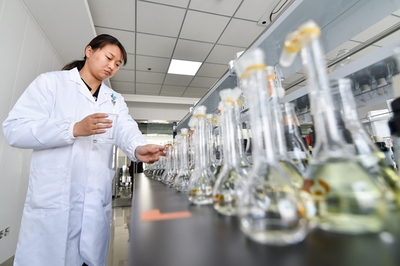 在宿城區現代農業產業園育種實驗室,工作人員在進行育苗檢測。 焦尉 攝